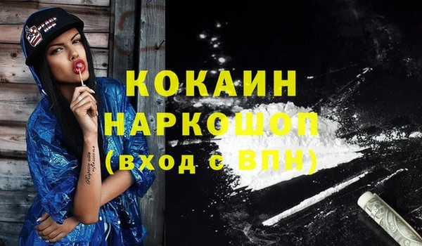 индика Армянск