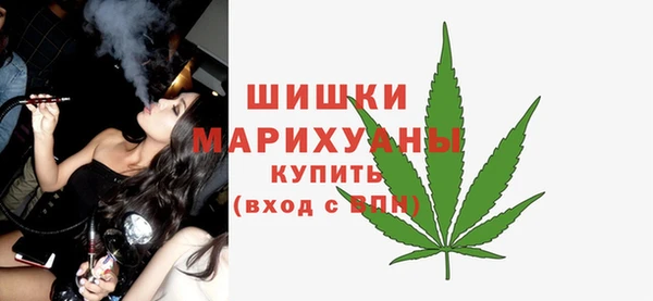 шишки Аркадак