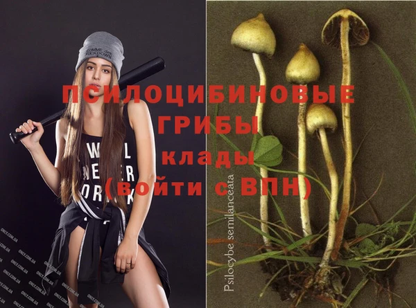 индика Армянск