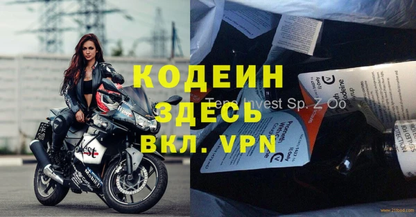 индика Армянск