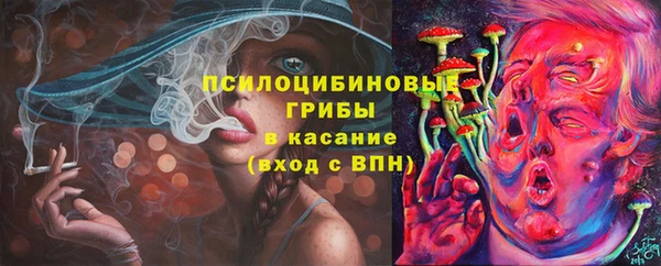 шишки Аркадак