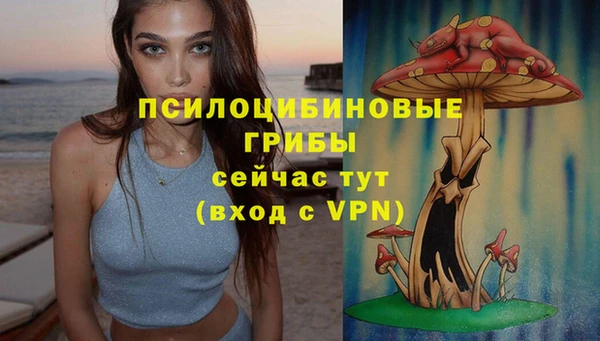 ALPHA PVP Арсеньев