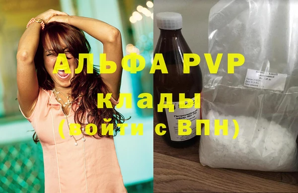 шишки Аркадак