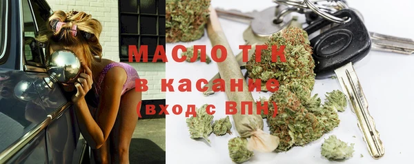 индика Армянск