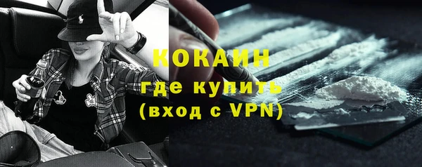 шишки Аркадак