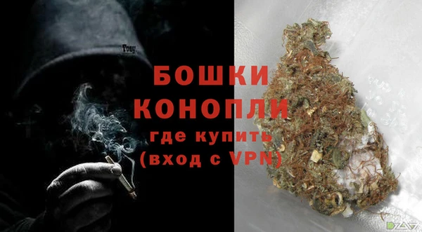 шишки Аркадак