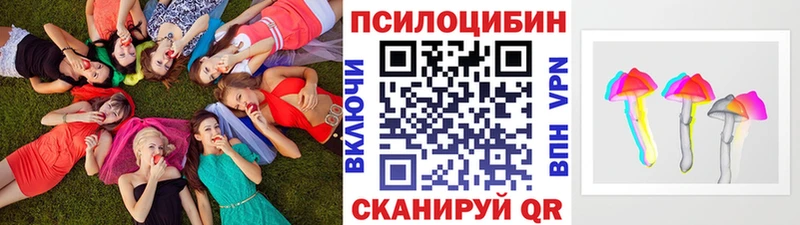 Псилоцибиновые грибы мицелий Белозерск