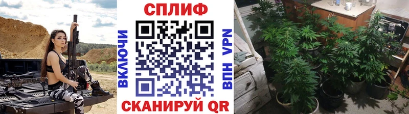 площадка Telegram  Белозерск  Бошки марихуана планчик 